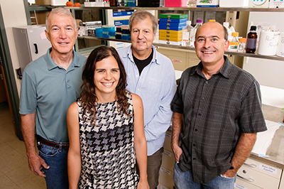 Researchers at the University of Illinois (from left) Ed Roy, Catarina Rendeiro, William Helferich, and Justin Rhodes studied the long-lasting effects of chemobrain.