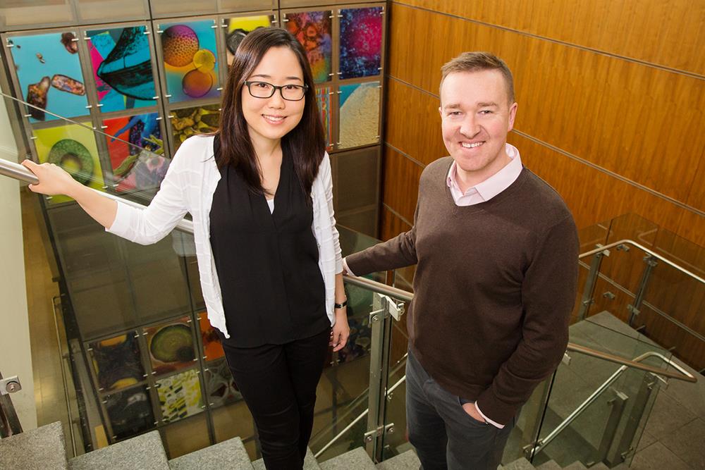 Illinois professor Brendan Harley and postdoctoral researcher Ji Sun Choi found that biomaterials that mimic bone marrow can alter blood cell development.
