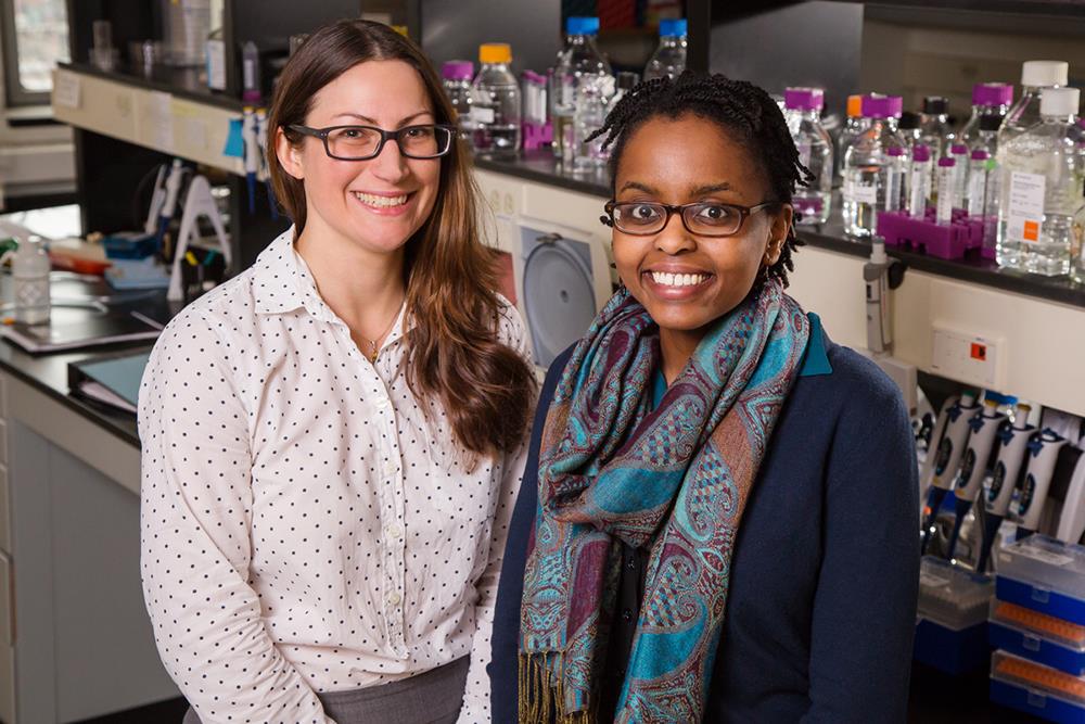 Entomology professor Allison Hansen, left, and graduate student Margaret Thairu developed a new technique for getting interfering RNA into the bodies of soybean aphids.