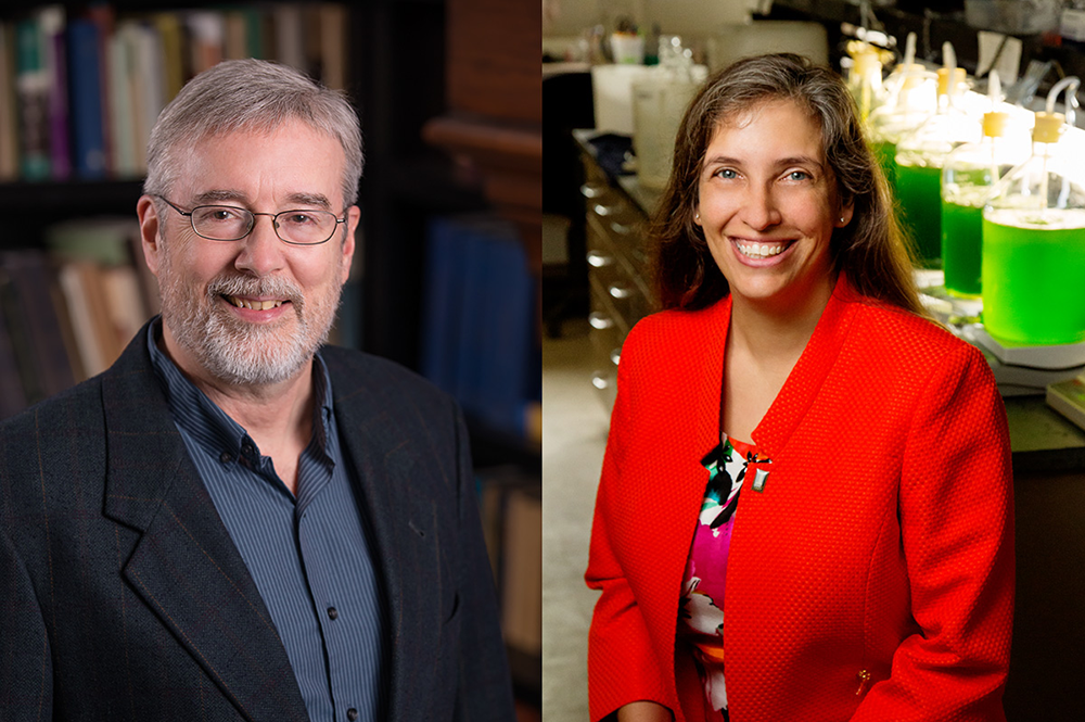 Douglas Simpson and Carla Cáceres have been elected 2017 Fellows of the American Association for the Advancement of Science.