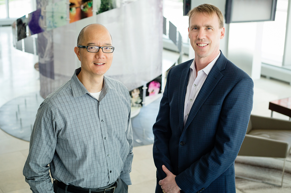 U of I veterinary oncologist Timothy Fan, left, chemistry professor Paul Hergenrother, and their colleagues are testing the safety of a new cancer drug in a clinical trial for humans with late-stage brain cancer. The compound has worked well in canine patients with brain cancer, lymphoma and osteosarcoma. (Photo by L. Brian Stauffer.) 