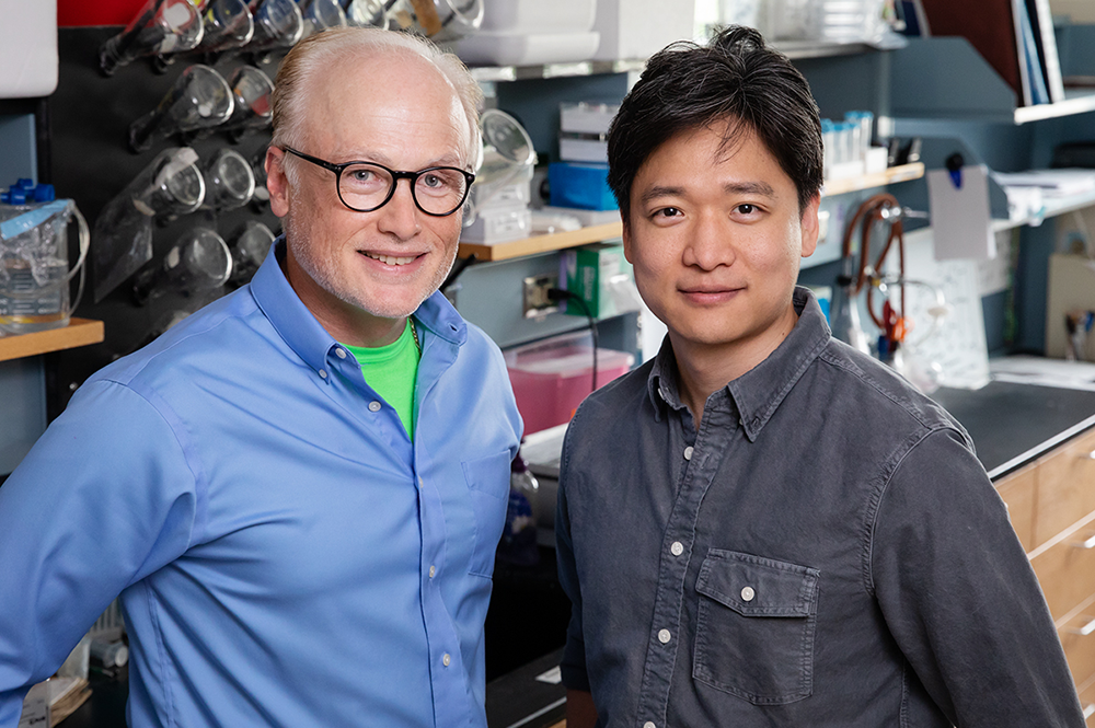 Microbiology professor Steven Blanke, graduate student Ik-Jung Kim, and their colleagues discovered how a disease-causing bacterium, Helicobacter pylori, undermines the body’s immune defenses. (Photo by L. Brian Stauffer.)
