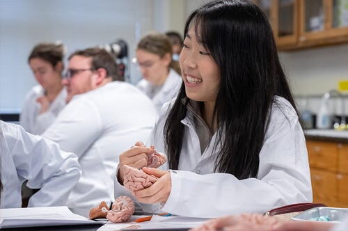 Students in a lab