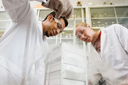 Students in a lab