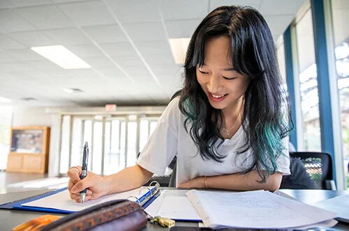 Student studying