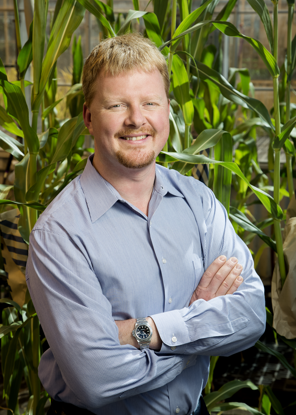 Andrew Leakey is part of multi-institutional research project that has received $16 million to research sorghum in an effort to optimize photosynthesis and water use efficiency. 