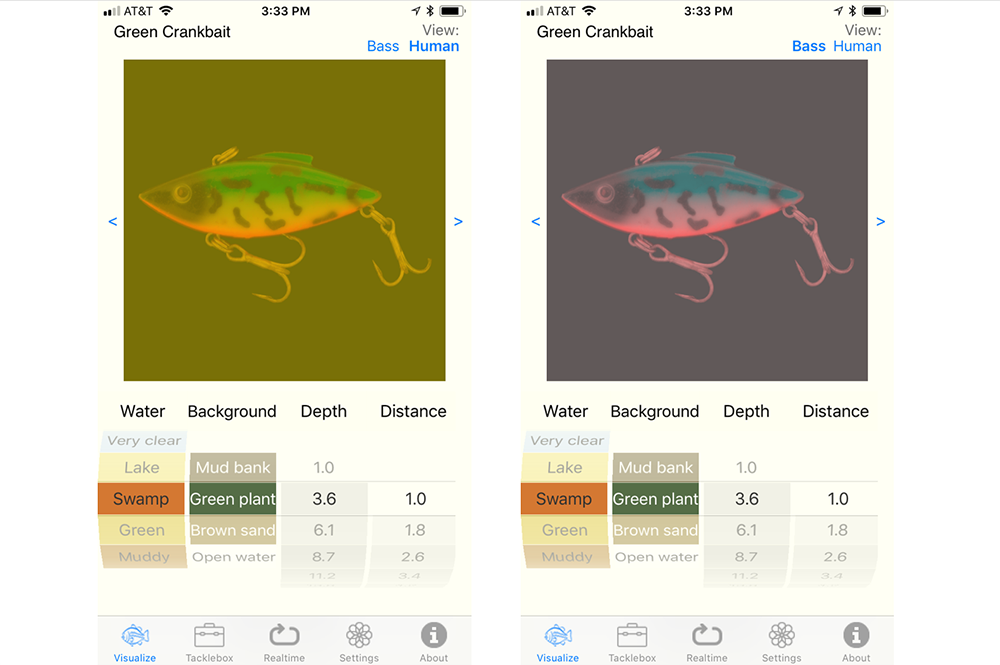 Sample images show how the BassVision app helps anglers. The image on the right shows how largemouth bass would see a fishing lure in certain swamp water; the image on the left shows how a human would see it. (Image courtesy of Becky Fuller and BassInSight.) 