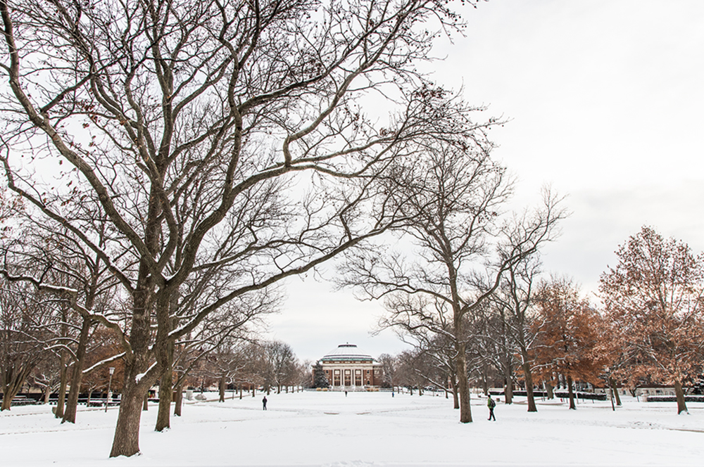 Several College of LAS faculty have been named Professorial Scholars this fall and winter.