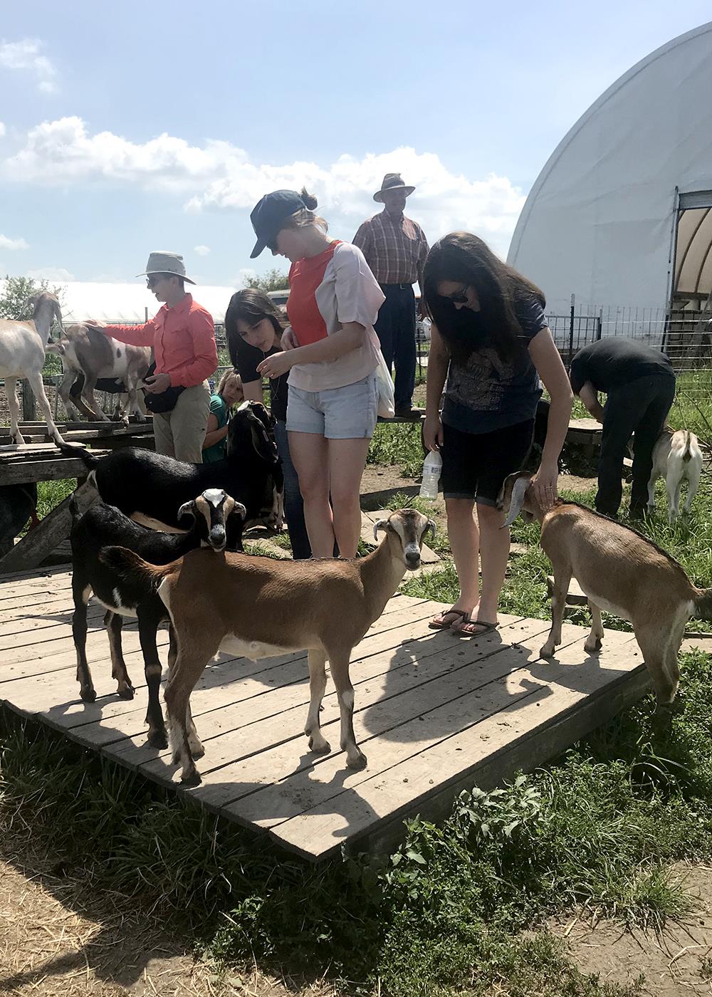 Participants in the Human-Animal Studies Summer Institute visited Prairie Fruits Farm in Urbana to discuss small-scale faming. (Photo courtesy of Jane Desmond)