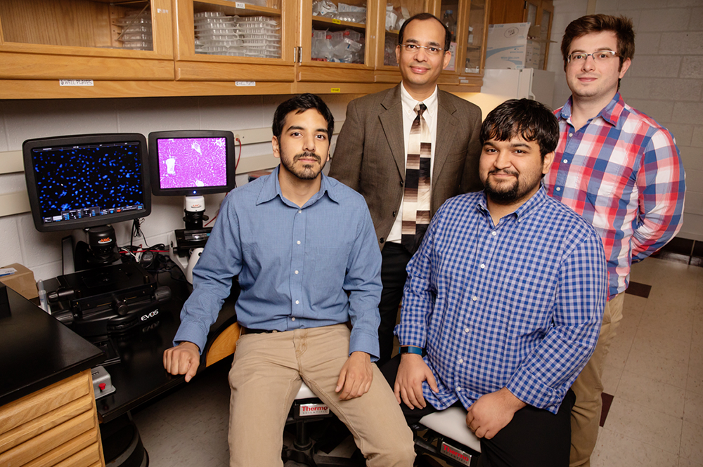 Biochemistry professor Auinash Kalsotra, second from left, and his team, including, from left, graduate students Waqar Arif, Joseph Seimetz, and Sushant Bangru, uncovered the molecular underpinnings of liver regeneration. (Photo by L. Brian Stauffer.) 